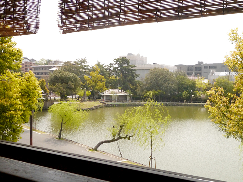 猿沢池が絶景です